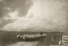 Pasáček ovcí, po roce 1890
