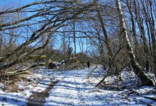 04 – divočina mezi Strážištěm a Liščím kopcem