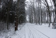 cestou ze Cvikova do Údolí samoty