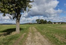 hluboké lesy střídají širé pláně, jež protínají staré cesty