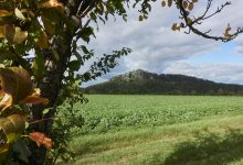 nad Cunnersdorfem se vám otevře výhled na Papstein