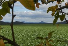 z netypického úhlu ovšem uvidíte i hlavní hřeben Lužických hor